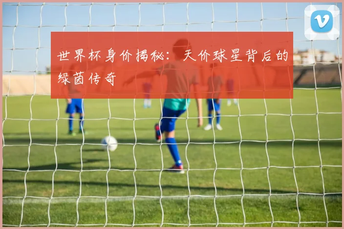 世界杯身价揭秘:天价球星背后的绿茵传奇