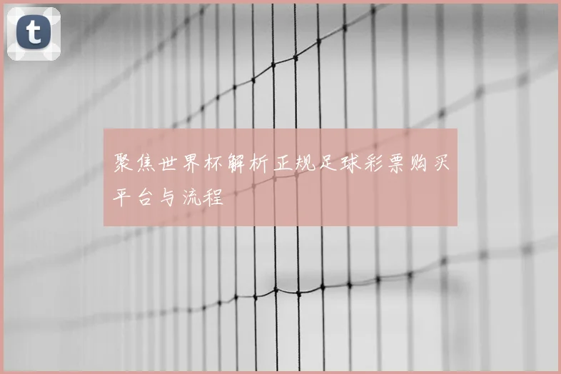 聚焦世界杯解析正规足球彩票购买平台与流程
