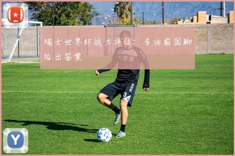 瑞士世界杯战力评估:专访前国脚给出答案