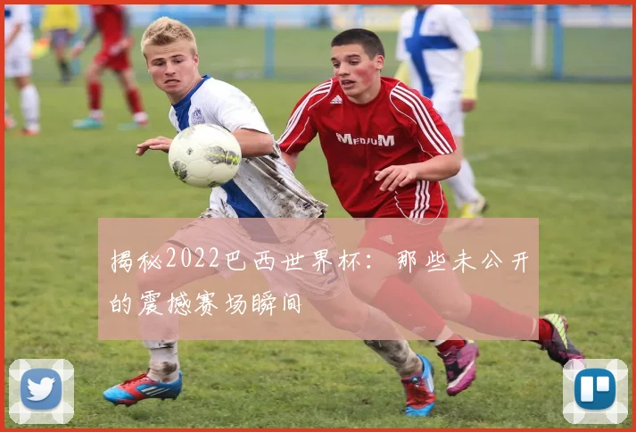 揭秘2022巴西世界杯:那些未公开的震撼赛场瞬间