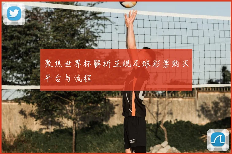 聚焦世界杯解析正规足球彩票购买平台与流程
