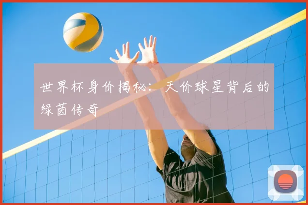 世界杯身价揭秘:天价球星背后的绿茵传奇