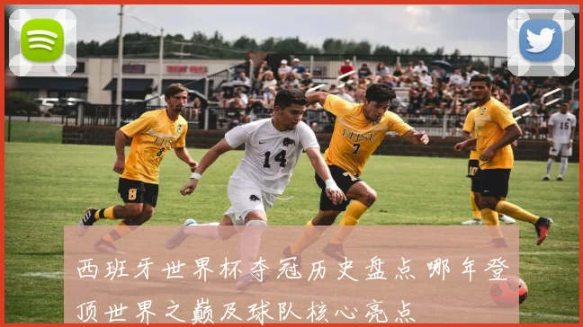 西班牙世界杯夺冠历史盘点 哪年登顶世界之巅及球队核心亮点