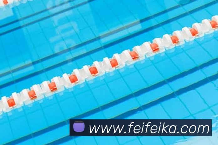 安博app下载网站服务体系